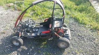 Buggy - 6