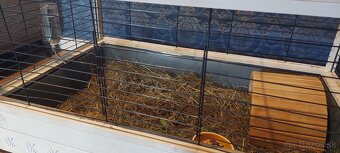 Klietka pre morča (zajac, škrečok, degu...) - 6