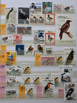 Známky - fauna - vtáctvo - 6