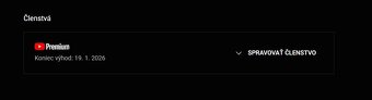YouTube PREMIUM 12 M - 6