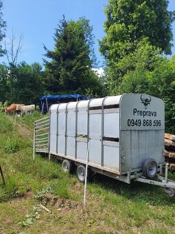 Preprava zvierat 0949 868 596 - 6