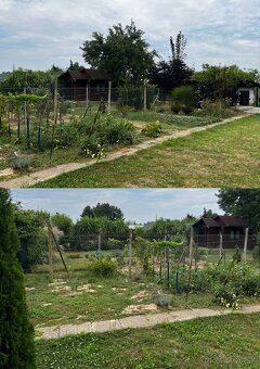 Predám záhradu v záhradkarskej oblasti Oriešky Trebišov - 6