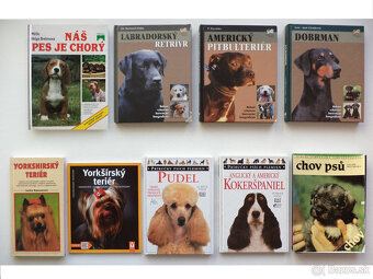 zvieratá, príroda, chov 1 - 6