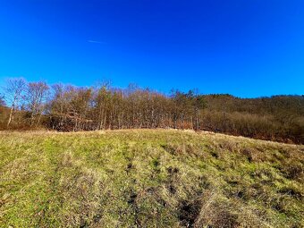 PREDAJ- POZEMOK PRI LESE  - VOZNICA - 6