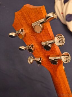 Taylor GS Mini-e Rosewood - 6