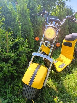 Elektro chopper - 6