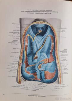 Atlas anatomie člověka I a Ii - 6