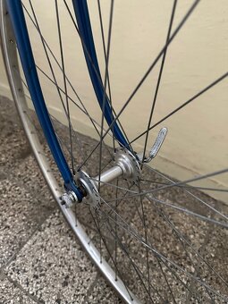Favorit F1 TV - 6