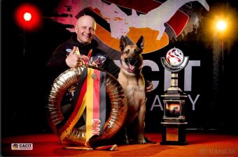 Belgický ovčiak Malinois s PP - 6