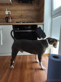 ARTHAS HLADA NOVY DOMOV - 6