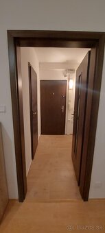 Jednoizbový byt - 6