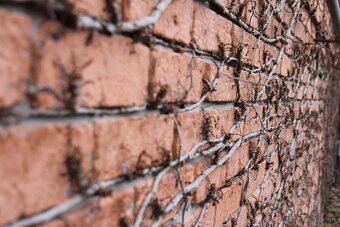 Formy na obklad - stará tehla - 6