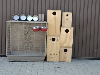 Predá klietku a budky a samec fb - 6