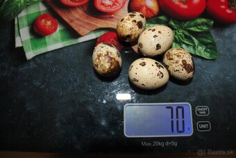 Prepeličie vajíčka 0,10€/ks - 6