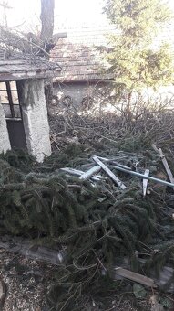 Štiepkovanie konárov - 6