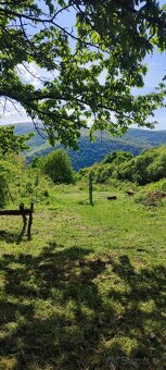 Predám úžasný pozemok v lokalite Hronský Beňadik - 6