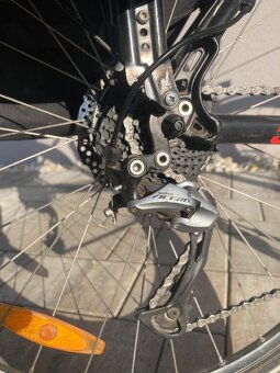 Kellys Spider 60 - 6