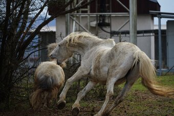 Fotoaparát Sony Alpha A7 II Objektív Sony FE 28–70 mm OSS - 6