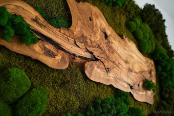 Machovy obraz s olivovym drevom - 6