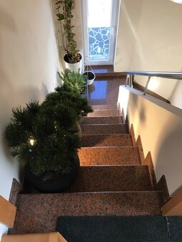 REZERVOVANÉ: NA PREDAJ ZARIADENÝ RODINNÝ DOM - 6