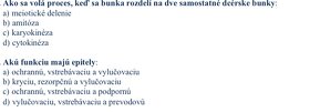 Dentálna hygiena Prešov 2024/2025 - 6