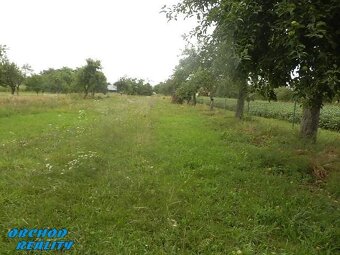 Predaj záhrady v Močaranoch, Michalovce - 6