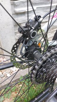 Dema Tigra 27.5 damsky - 6