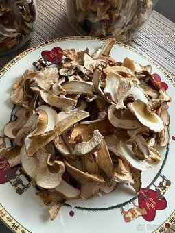 Sušené dubáky - 6