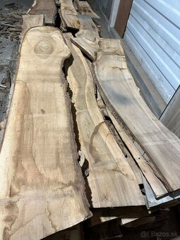 Vysušené orechové dosky, orech, VÝPREDAJ - 6