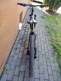 Bicykel pells - 6