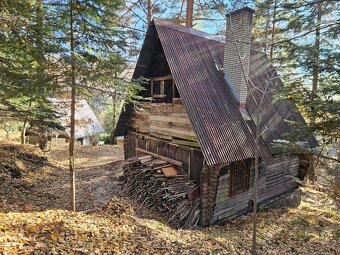 Predam chatu s pozemkom 1978m2 Drienica - 6