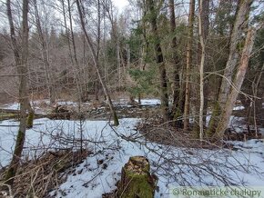 Pozemok pri potoku v lese, Nízke Tatry - 6