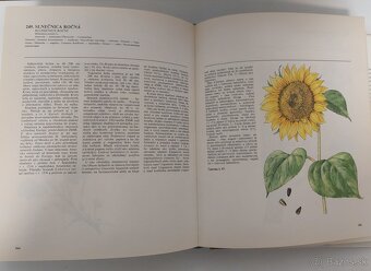 Atlas liecivych rastlin a lesnych plodov - 6