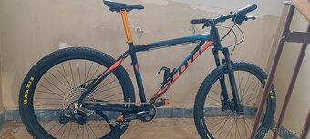 Scott - 6