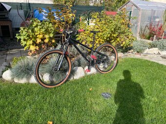 On One Hello Dave - 6