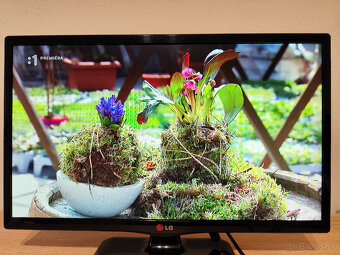 Monitor/TV LG 22MT44D 22" - 6