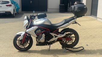 Kawasaki ER-6n 650 (2007) - 6