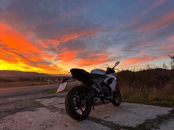 Triumph daytona 660 - 6