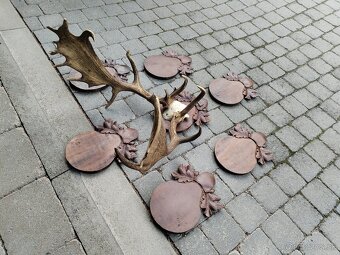 Trofej daniela +podložky - 6