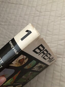 BREHM -Život zvierat - 6