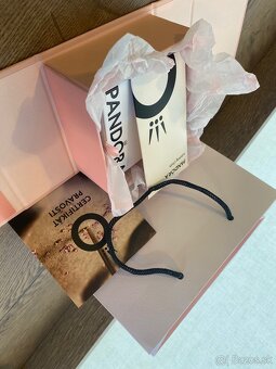 Pandora náramok - 6