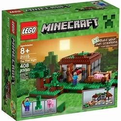 Zbieram Lego Minecraft - 6
