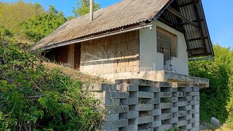 Vinica so záhradnou chatkou - 6