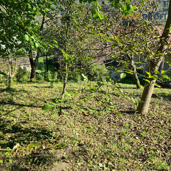 Na predaj, domček 54m2 s veľkým humnom 106m2, Rojkov-Stankov - 6