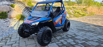 POLARIS RZR 200 TLD - 6