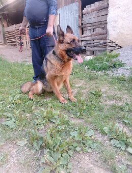 Na predaj - 6