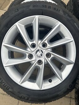 Minoris 16" Octavia III - 6