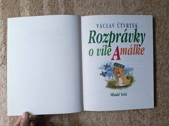 Víla Amálka - 6