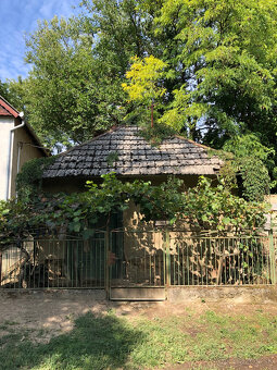 Viničný domček a niekoľko radov viniča - 6