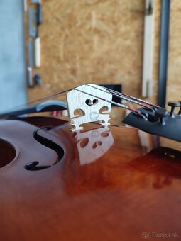 Viola 40,5 - 6